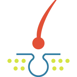 Icon depicting alopecia.