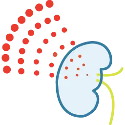 Icon of hyperphosphatemia and soft tissue mineralization.