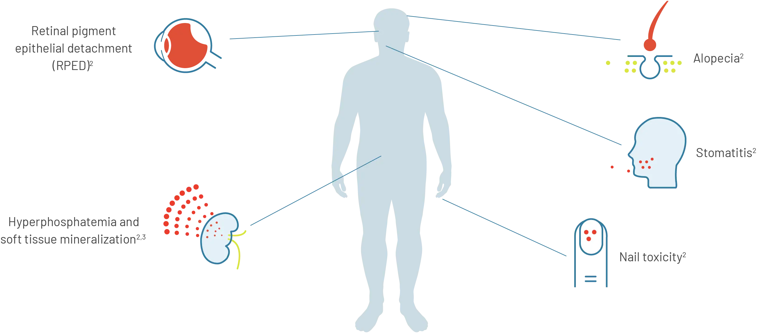 Silhouette of a man surrounded by icons representing areas of the body affected by adverse reactions.