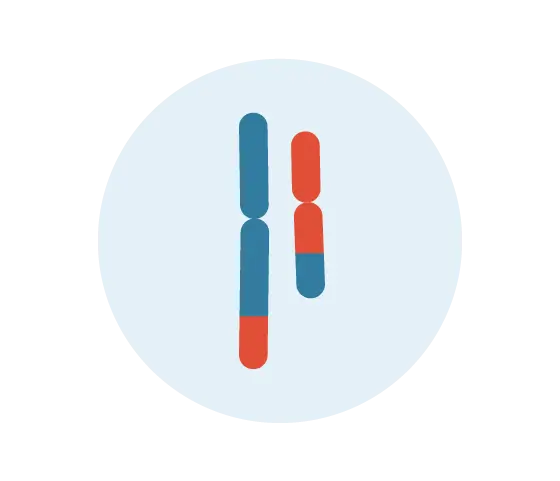 Icon of the chromosome 8p11 locus