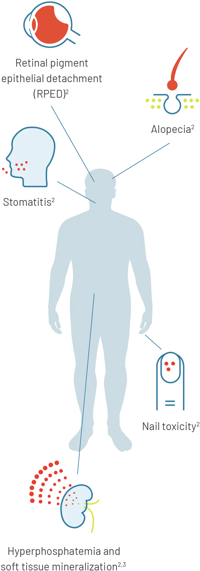 Silhouette of a man surrounded by icons representing areas of the body affected by adverse reactions.